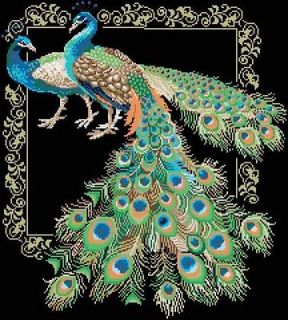 peacock cross stitch kit in Animals & Insects