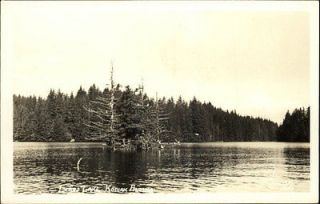 Kodiak AK Island Lake Real Photo Postcard