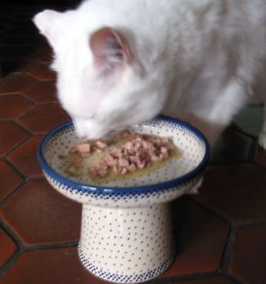   Polish Pottery Classy Cat Dog Wet Canned Food Dish Bowl 61A Misty Blue