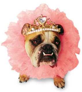 zelda queen princess pink dog pet halloween costume s one