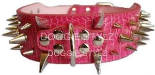 pink gator leather dog collar spikes pitbull usa 18 21