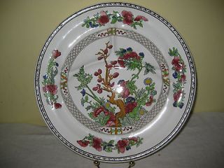BEAUTIFUL VINTAGE BOOTHS INDIAN TREE DIVIDED DINNER PLATE
