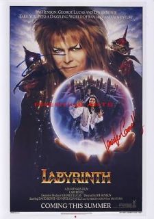 labyrinth signed movie poster reprint from united kingdom time left