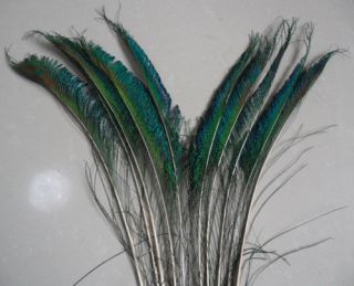 10 100 pcs natural colorful peacock feather sword ( left and right 
