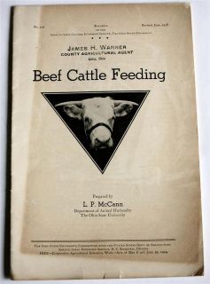 beef cattle feeding by l p mccann 