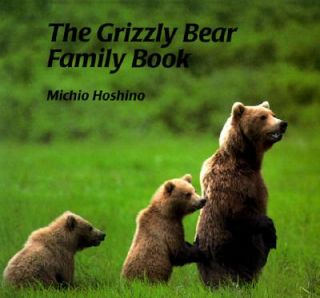 The Grizzly Bear Family Book by Michio Hoshino 1997, Paperback