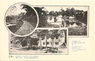 Antique coverlet; S.B. Musselman, Milford, Bucks County, PA 1844