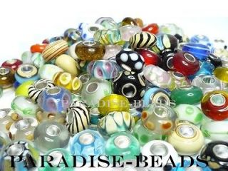 20 European Beads Silver Core Murano Lampwork Glass Charm Lot 