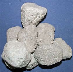 chinchilla natural healthy treat pumice chew stones returns not 