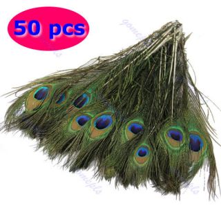 50pcs Beautiful Natural Peacock Tail Feathers About 10 12inch For DIY 