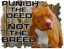 pitbull PUNISH THE DEED NOT THE BREED NEW size Med gray only 7 left