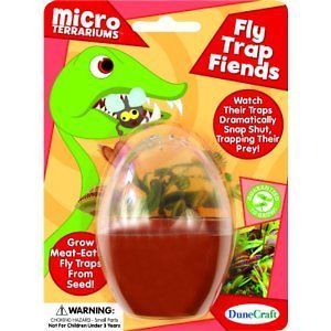 Venus Fly Trap Friends Micro Terrarium Indoor Plant Grow Your Own Seed