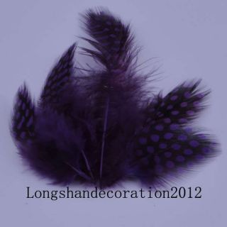 Free ship 100pcs Natural Guinea fowl Feather Purple Colour 2.3～5.6in 
