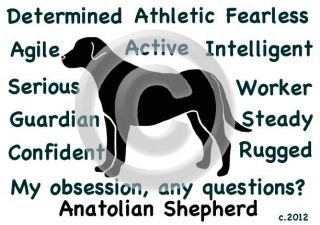 Anatolian Shepherd Dog My Obsession, Any Questions? T shirt Our 