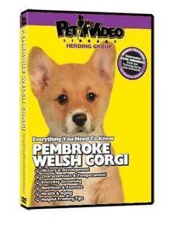 pembroke welsh corgi puppy dog care training dvd time left