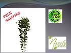 Fake Marijuana Silk Plant artificial Pot Gag Gift NEW