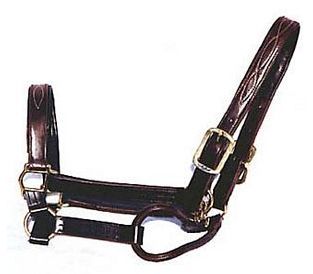 WALSH Fancy Padded Leather Halter   Havana Brown   All Sizes