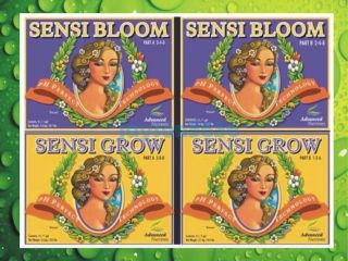   NUTRIENTS Sensi Grow & Bloom Part A & B pH Perfect New Formula Combo