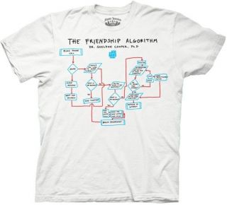   Theory TV Sheldon Friendship Algorithm Adult T Shirt S XL Howard Raj