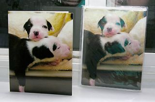 Newly listed Pit Bull Puppy Blank Photo Note Cards Animal Rescue