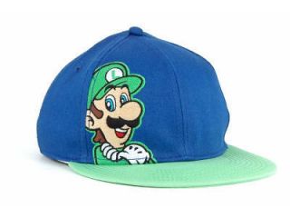 BIO DOMES LUIGI NINTENDO CORNER BLUE/GREEN FLEXFIT FLAT BRIM HAT CAP 
