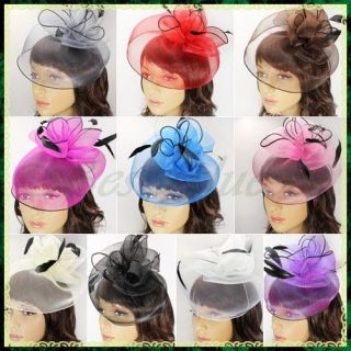   Mesh Cocktail Party Wedding Prom Feather Veil Hat Fascinator Hair Clip