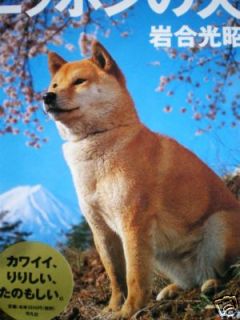  Japanese Dogs PhotoBook Akita Shiba inu Kishu Kai 