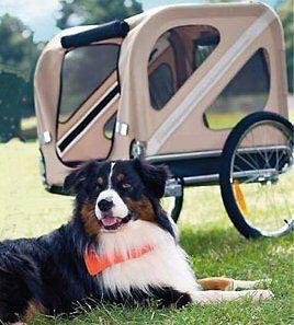 Dog trailer with Hitch for your Segway PT, take Fido or use it for 