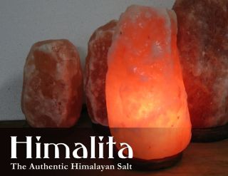 Himalayan BOWL OF FIRE Rock SALT LAMP with DIMMER CORD and BULB