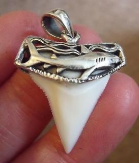 brite white shark tooth teeth pendant 1 1 16 silver