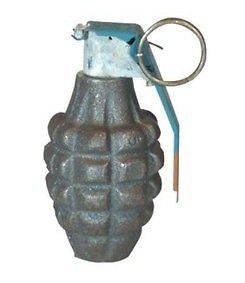 Collectible Pineapple Grenade Military Collectible NOT A REAL 