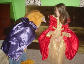 beauty and the beast costume in Clothing, 