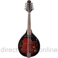 Newly listed Stagg M50E Electro Acoust​ic Bluegrass Mandolin Nato 