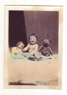 Steiff Toy Teddy Bear Photo/Stuffed Dog Baby/Handtinte​d Beauty/San 