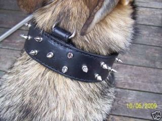 hamilton product dog collar leather spiked studded 28 time left