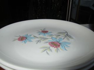 Steubenville Fairlane Salad plate (s) pink & blue flowers & gray 