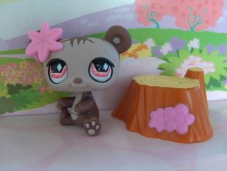 NEW LITTLEST PET SHOP GRIZZLY GIRL BEAR PINK EYES SET #594 FREE HOUSE 