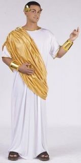 Adult CAESAR Roman Emperor Greek God Toga Mens XL or XXL Costume