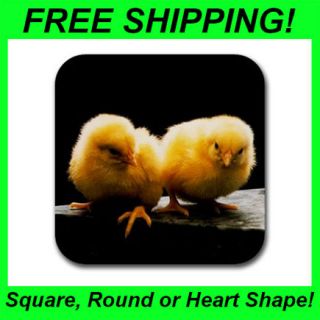 Baby Chicks / Chickens   4 Pack Coasters (Rubber)  DD1493