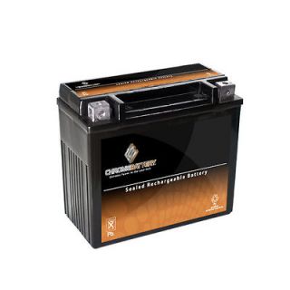 YTX20 BS Snowmobile Battery for ARCTIC CAT Pantera 550, 600 All CC 02 