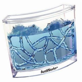 fascinations antworks original ant habitat farm one day shipping 