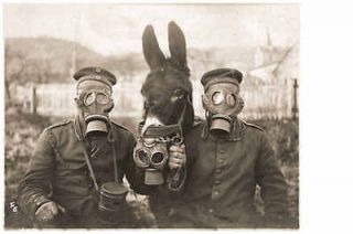 wwi german soldiers with war horse gas masks ww1 from