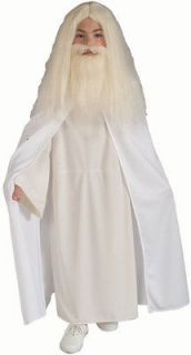 child s lord of the rings gandalf halloween costume lg