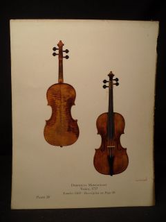 Dominicus Montagnani Venice Violin 1737 Vintage Illustration L@@K