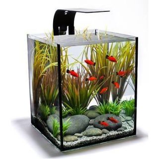 ecoxotic ecopico desktop fish aquarium  59 00
