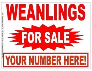 Newly listed Weanlings For Sale Signs Horses Equine Yard Road
