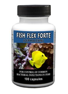 fish flex forte cephalexin antibiotic 500mg 100 capsules straight from