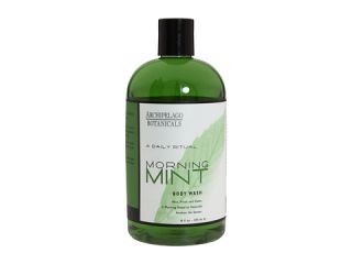   Morning Mint Body Wash 16 oz    BOTH Ways