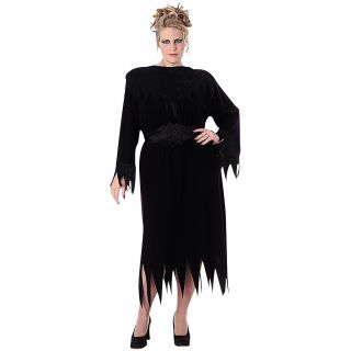 Wanda the Wicked Witch Plus Size Adult Womens Black Halloween Costume