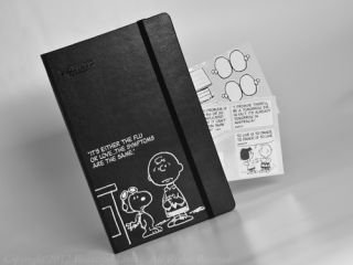   2013 Peanuts 12 Month Ltd Edition LARGE Daily Planner Agenda 5X 8¼